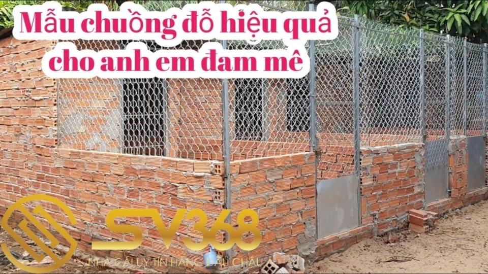 Hướng dẫn cách làm chuồng bay cho gà đá siêu đẹp tại SV368 2 Tại sao phải làm chuồng bay cho gà