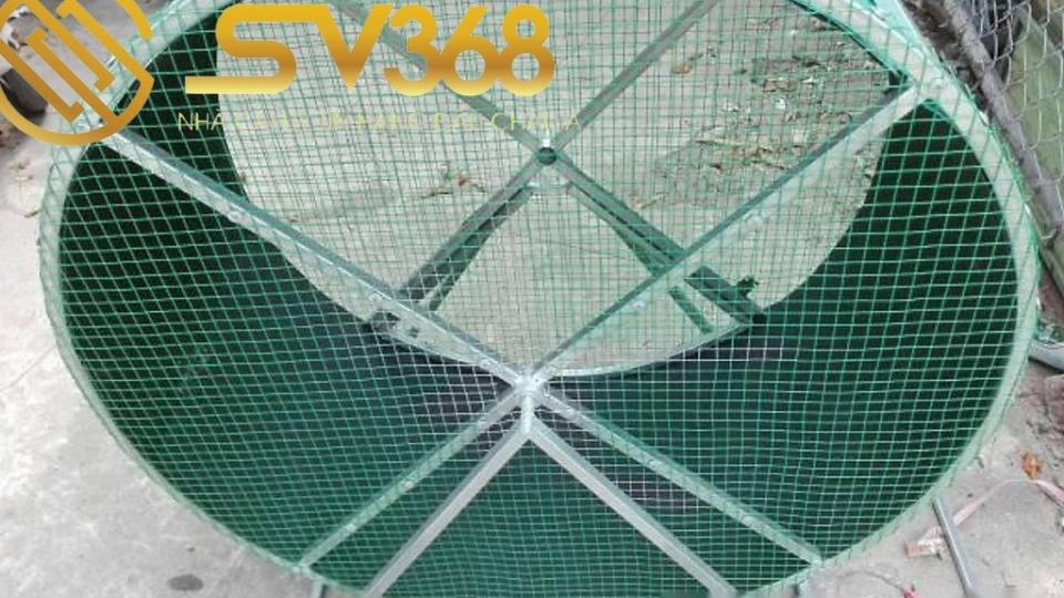 Bán máy tập thể lực cho gà, giúp tăng khả năng chiến đấu 1 bán máy tập thể lực cho gà