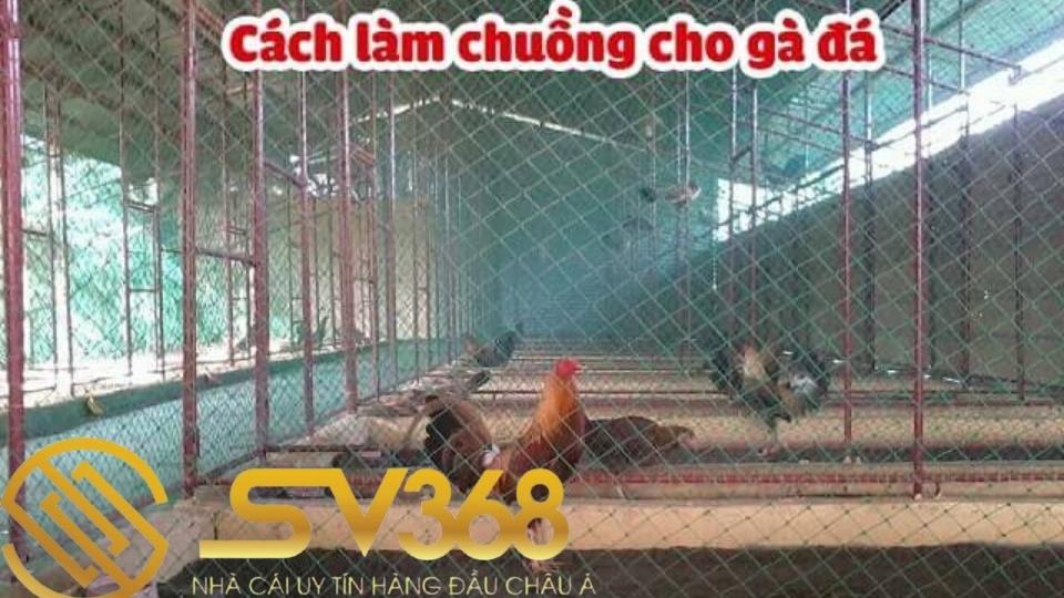 Hướng dẫn cách làm chuồng bay cho gà đá siêu đẹp tại SV368 5 cách làm chuồng bay cho gà đá