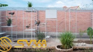 Hướng dẫn cách làm chuồng bay cho gà đá siêu đẹp tại SV368 18 cách làm chuồng bay cho gà đá