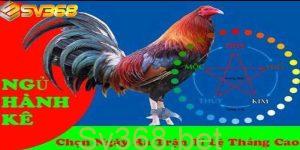 Một vài câu hỏi về cách xem ngày gà đá