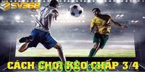 Cách xem kèo cược chấp chuẩn nhất tại nhà cái sv368