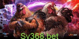 Đá gà cựa sắt Campuchia là gì?