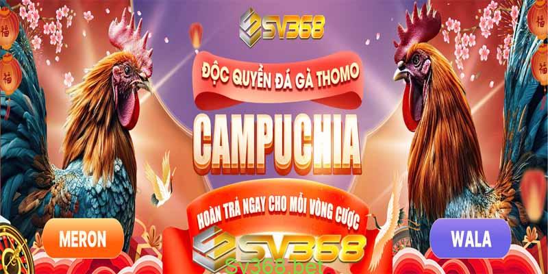 Khuyến mãi dành cho đá gà tại nhà cái Sv368 2 Chương trình khuyến mãi cực khủng tại  Sv368