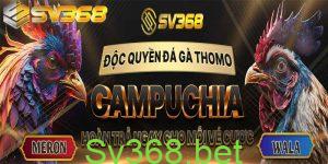 Khuyến mãi dành cho đá gà tại SV368