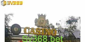 Đá gà thomo67 là hình thức đá gà gì?