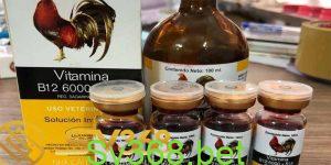 thuốc bổ cho gà đá