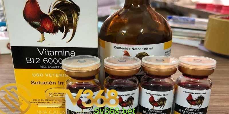 thuốc bổ cho gà đá