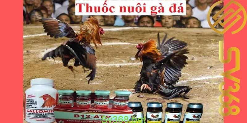 thuốc nuôi gà đá